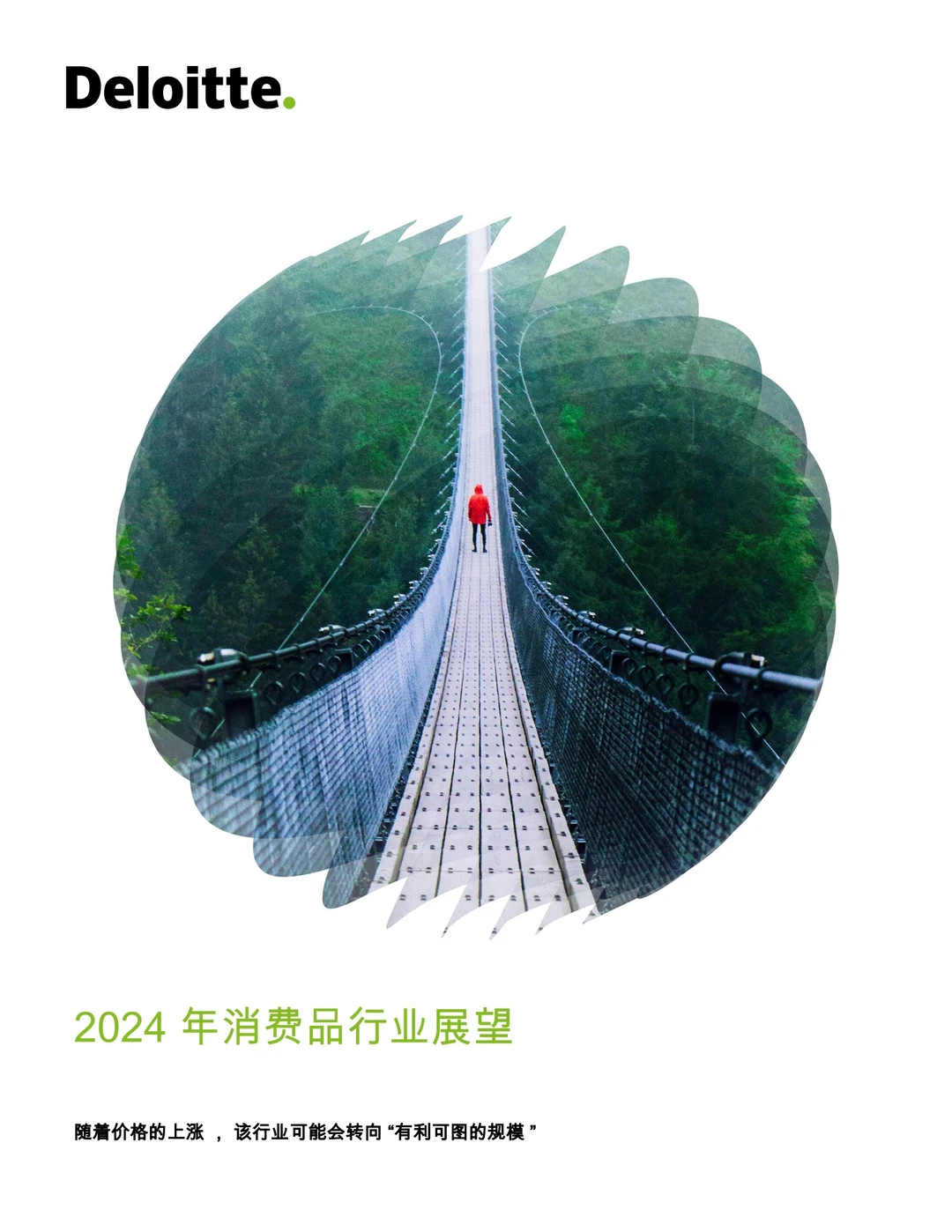 2024年消费品行业展望