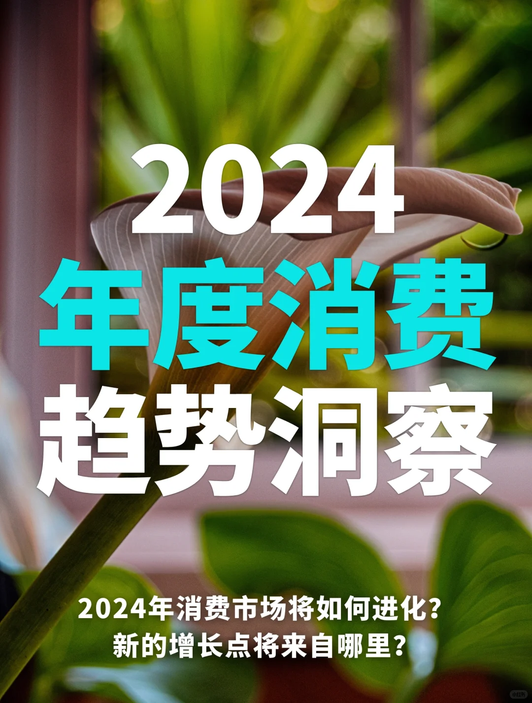 56页报告|2024年度消费趋势洞察