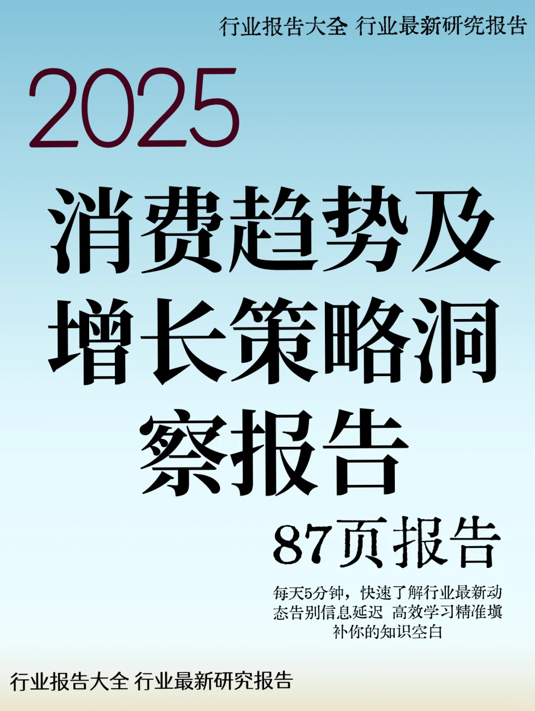 消费趋势及增长策略洞察报告