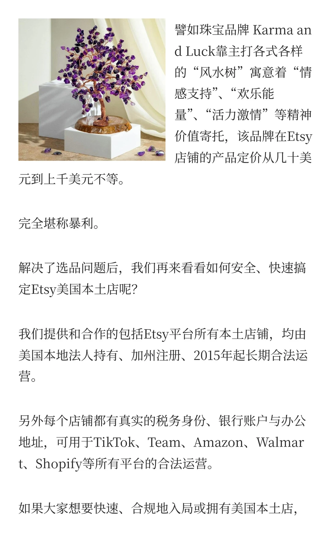 卖爆10万+单!Esty卖家靠水晶盆栽营收千万