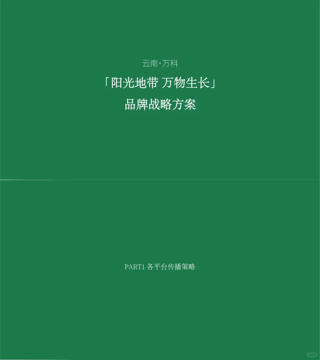 #阳光地带·万物生长·品牌战略传播策略?