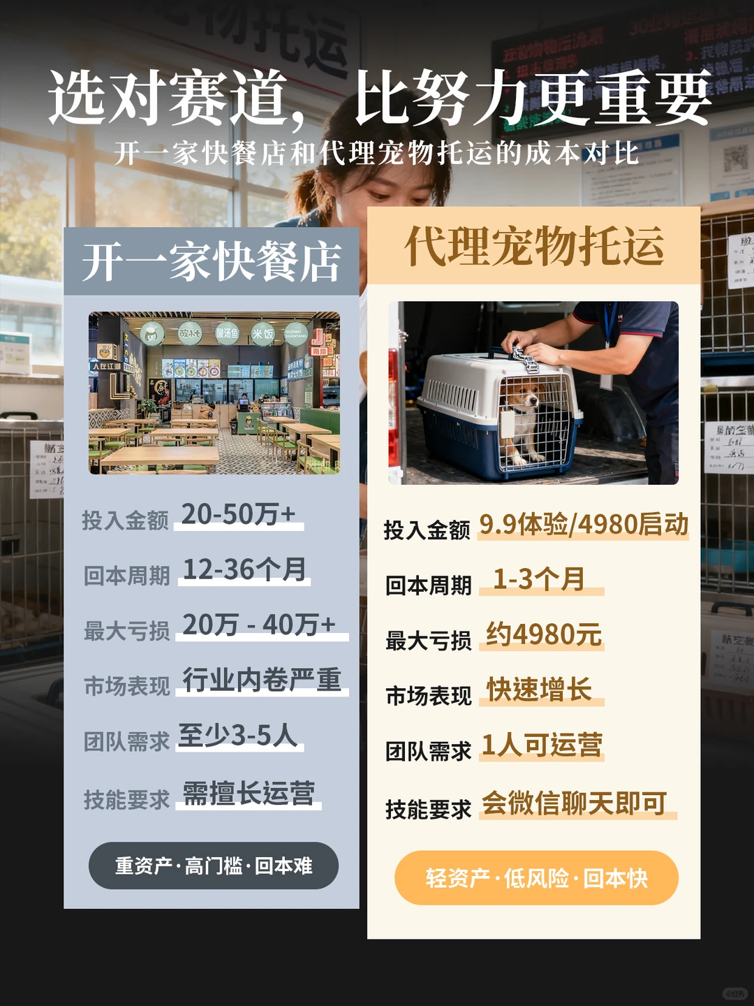 90后宝妈创业选择宠物托运,从一人到几百人