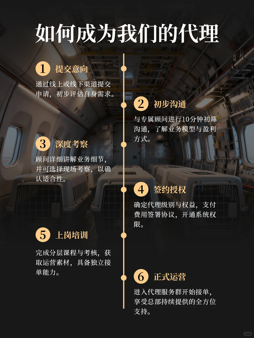 90后宝妈创业选择宠物托运,从一人到几百人