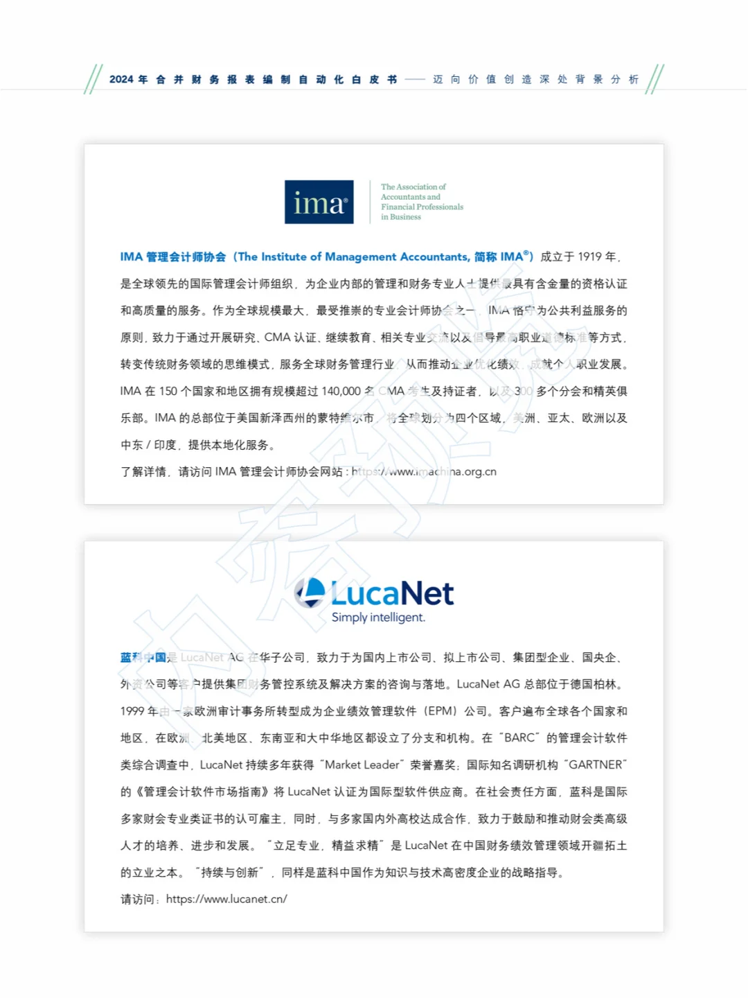 2024合并财务报表编制自动化白皮书?‍♂
