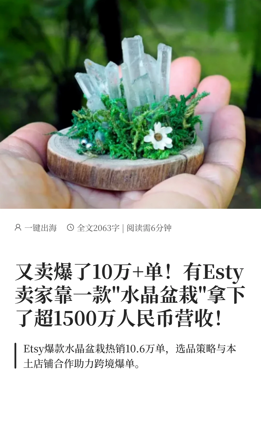 卖爆10万+单!Esty卖家靠水晶盆栽营收千万
