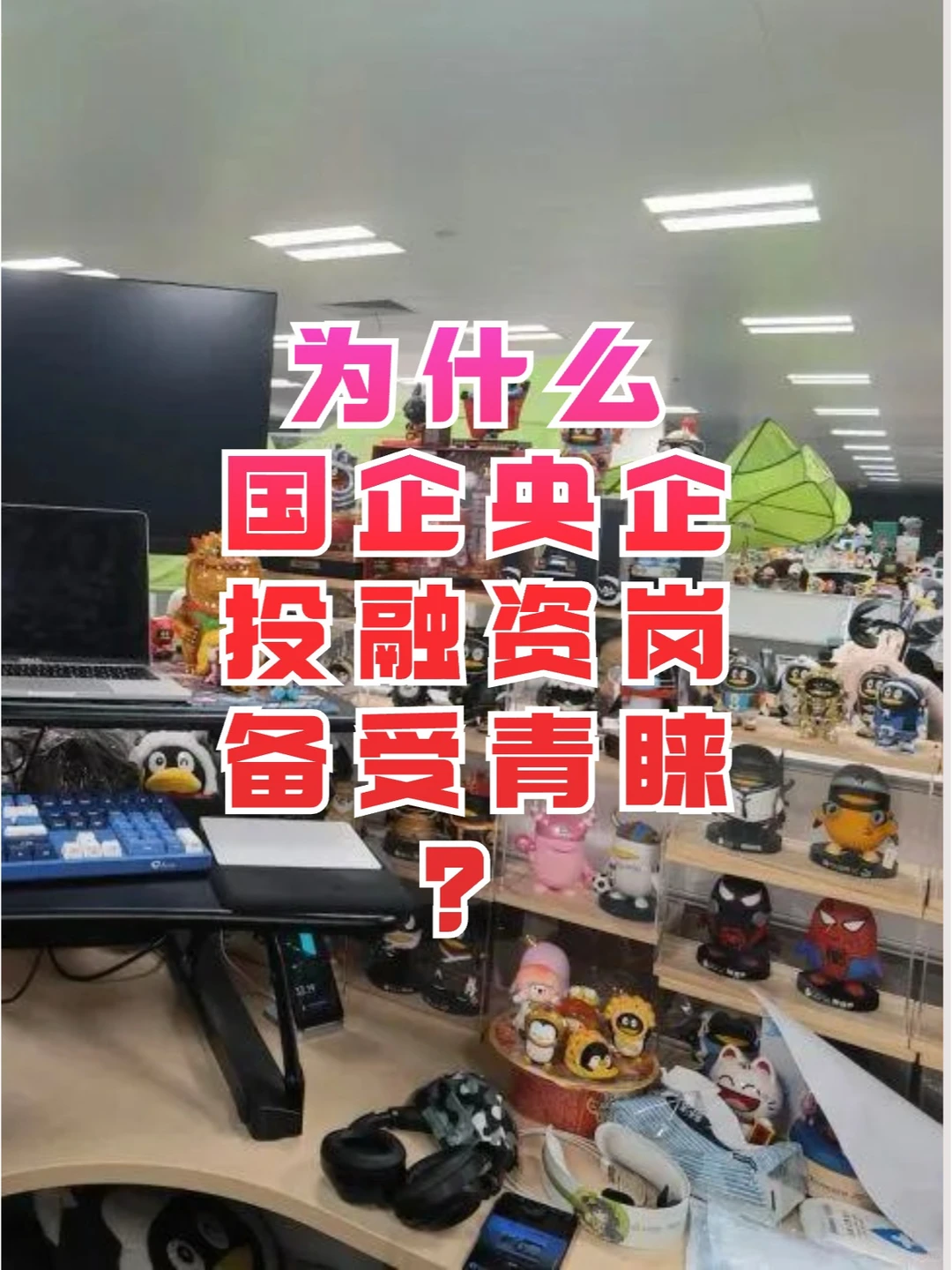 为什么国央企投融资岗位备受青睐❓
