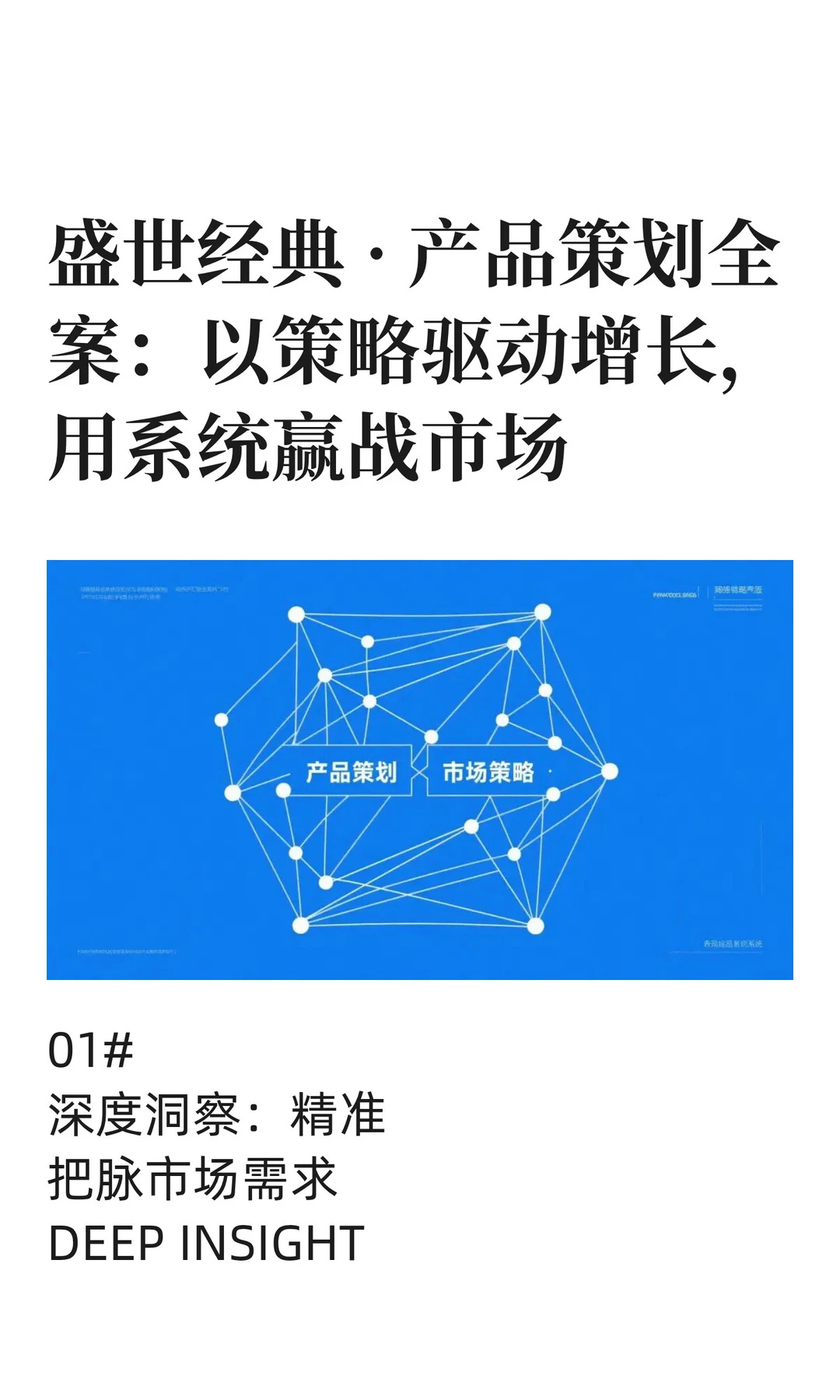 盛世经典 · 产品策划全案：以策略驱动增长