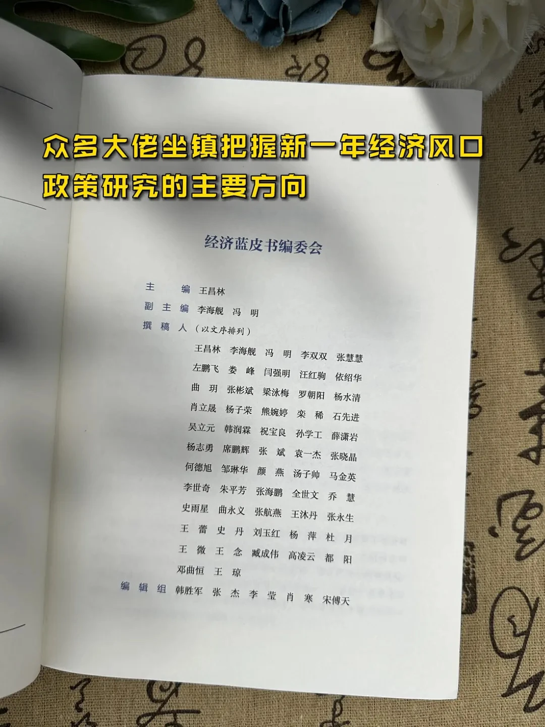 要成大事者都要研究的经济蓝皮书❗