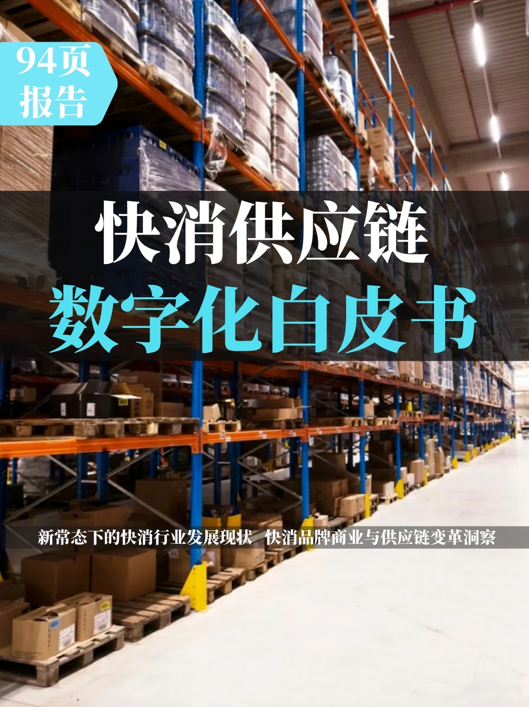 2023中国快消供应链数字化白皮书
