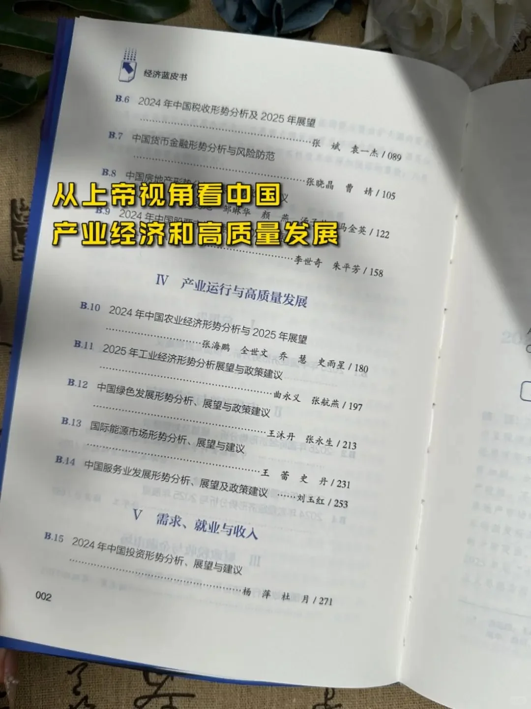 要成大事者都要研究的经济蓝皮书❗