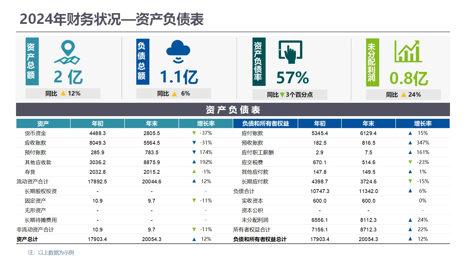 年度财务经营分析