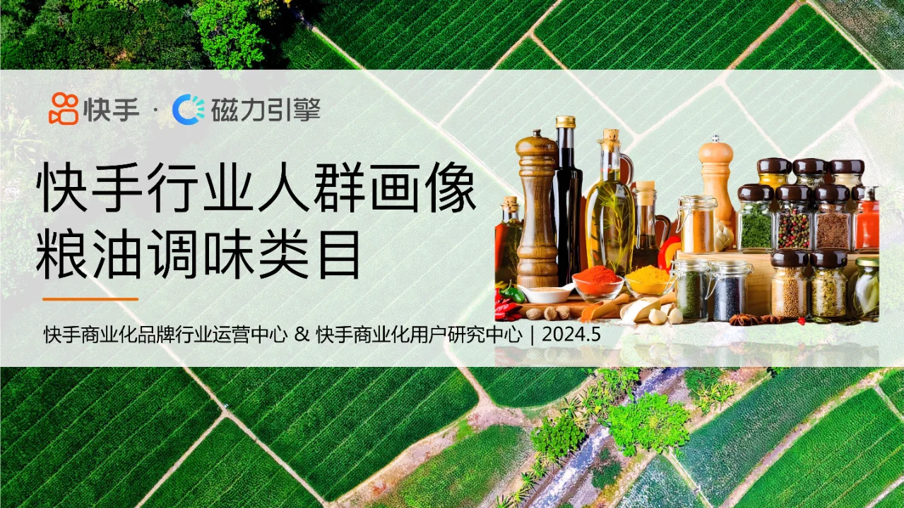 粮油调味市场洞察:快手人群画像深度解析