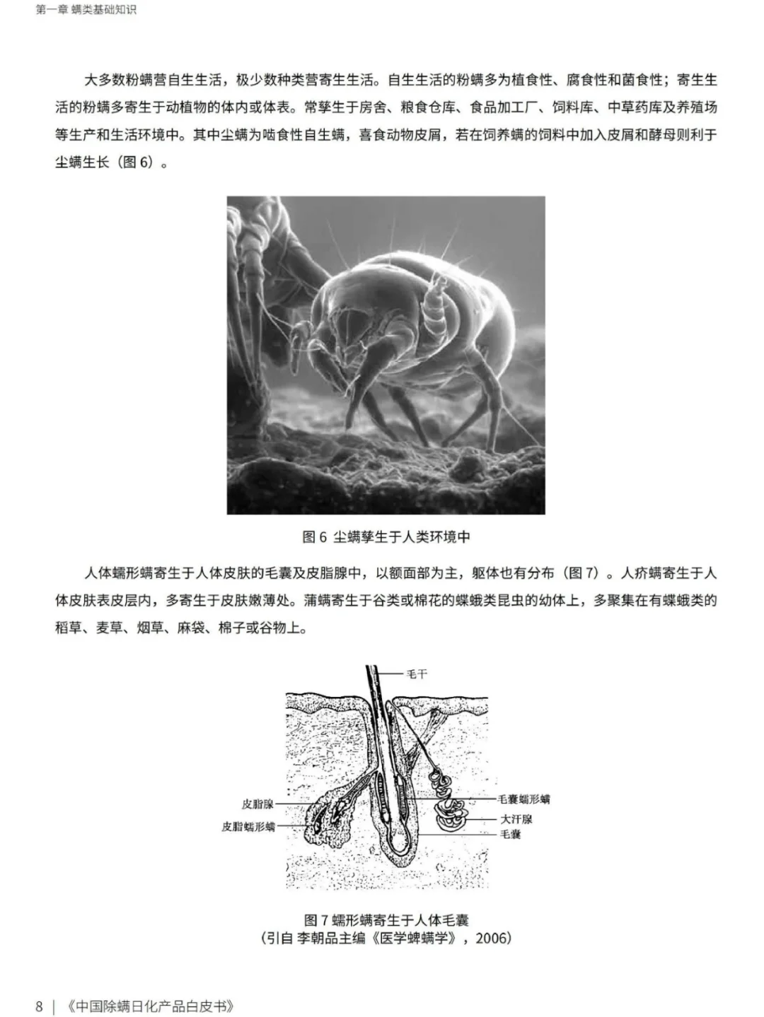 中国日化除螨产品白皮书