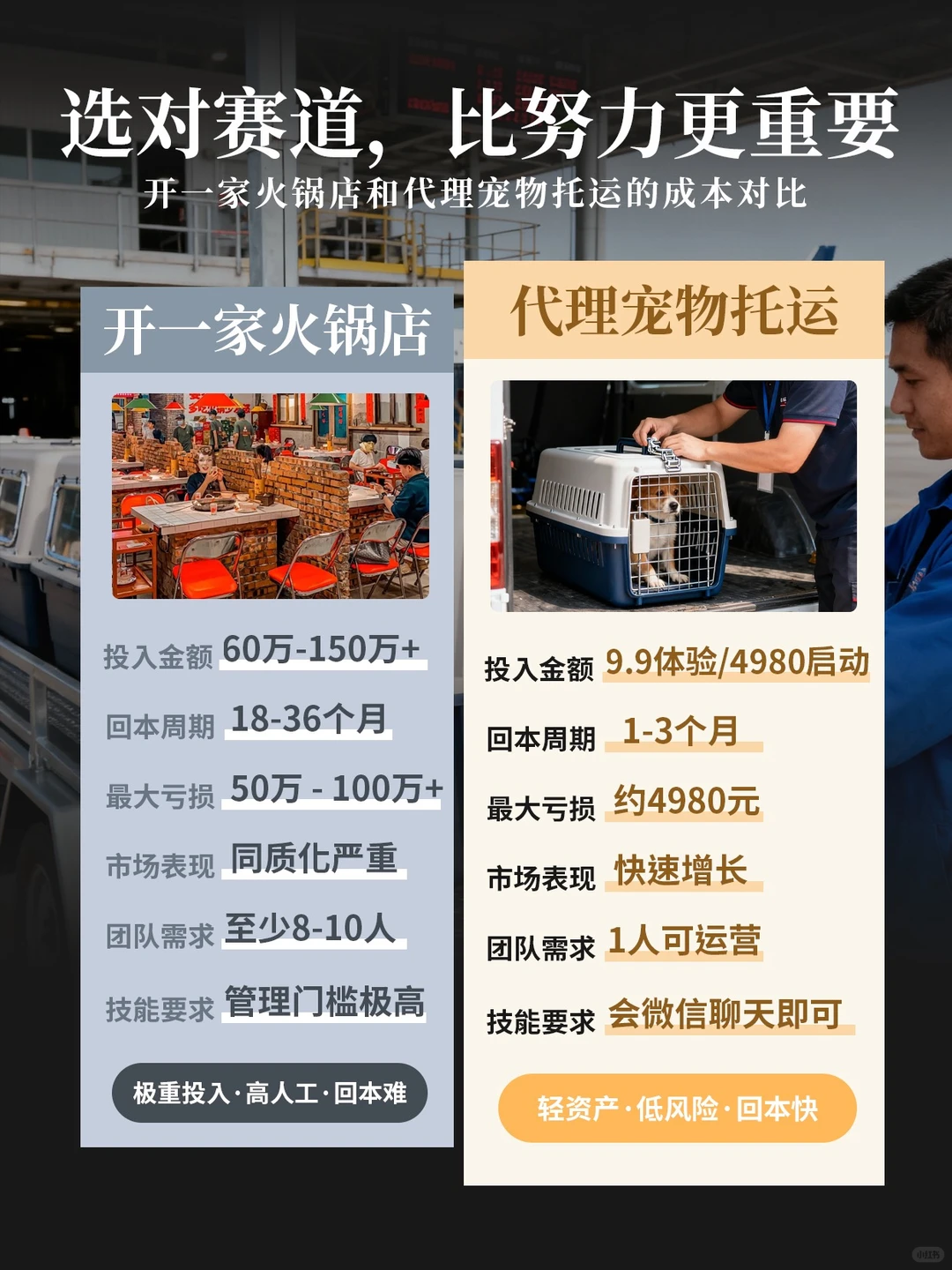 经济越不好,宠物行业反而越赚钱?隔壁小日子
