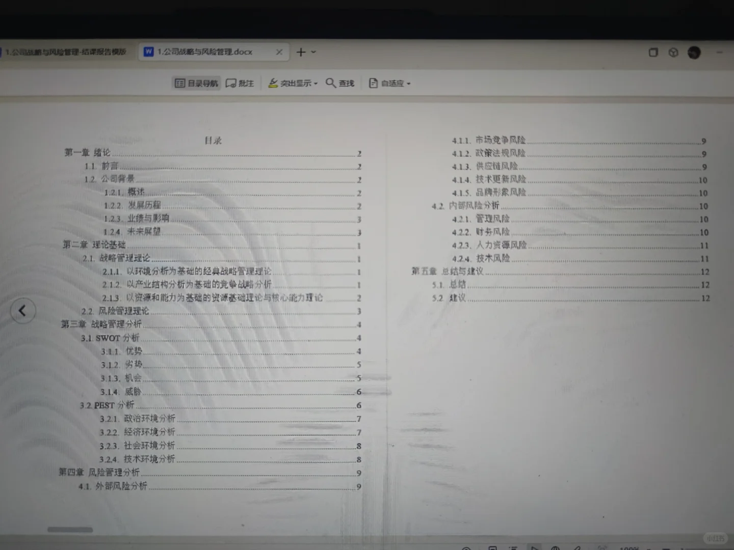 特斯拉公司战略与风险管理结课报告