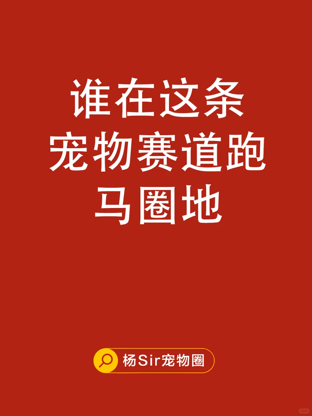 1分钟秒懂宠物行业竞争