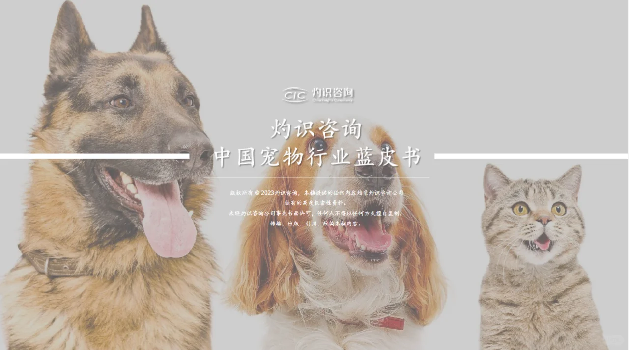 干货分享|主题：2023 宠物行业
