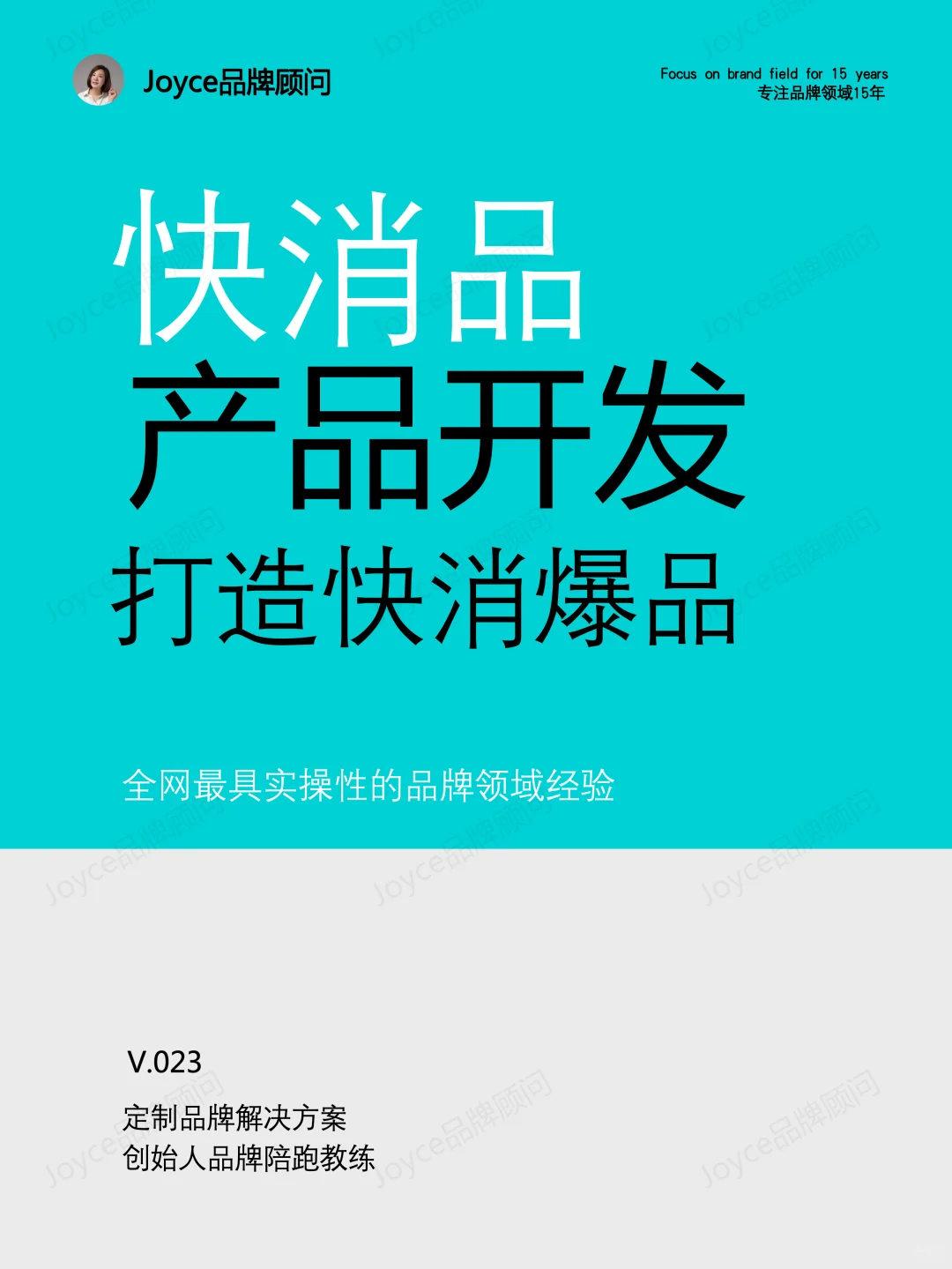 V.023-快消品产品开发，打造快消爆品-2