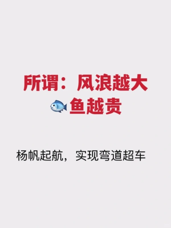 2024年?企业如何实现弯道超车?一飞冲天