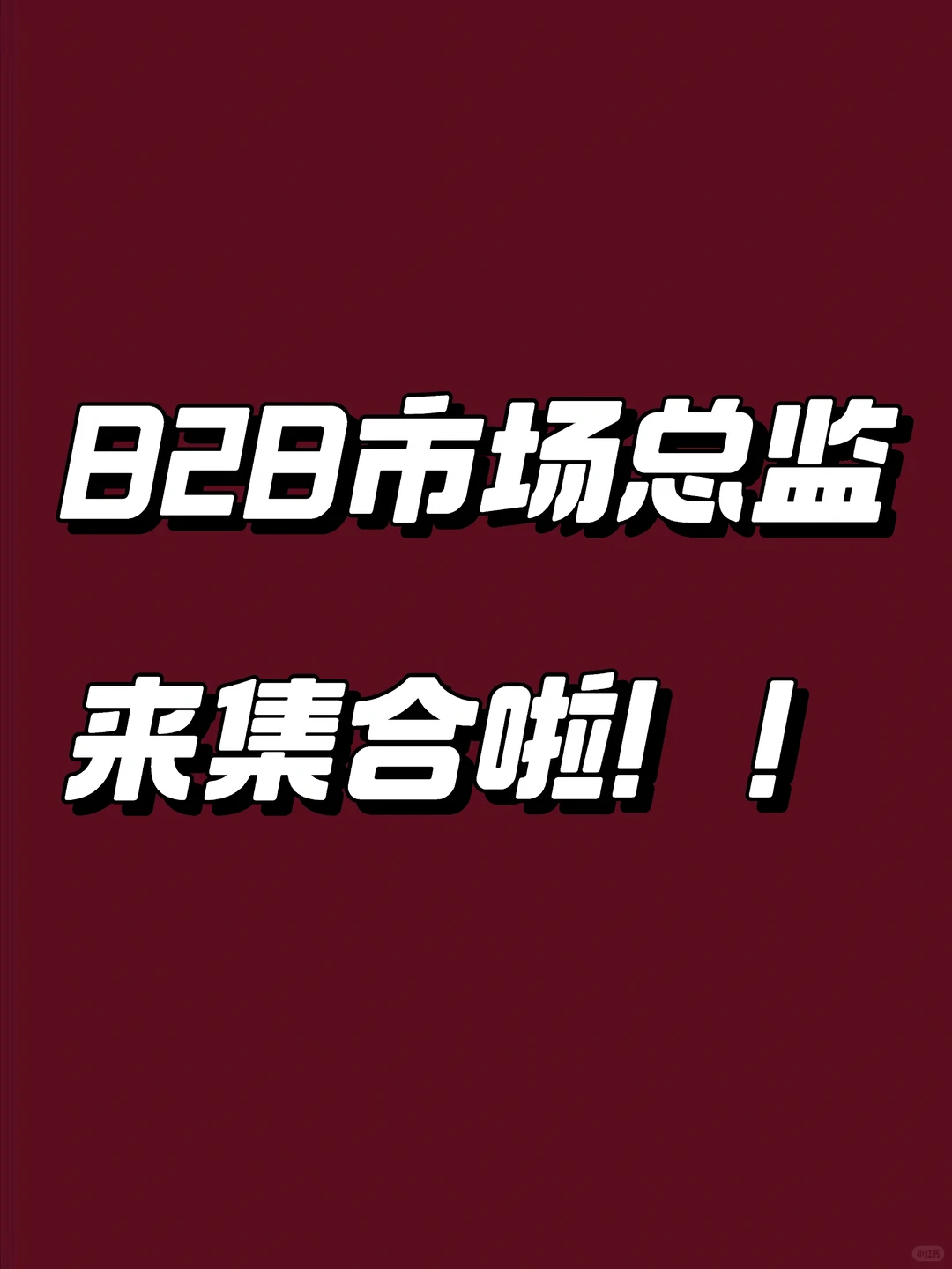 B2B市场总监畅聊MKT、GEO未来趋势