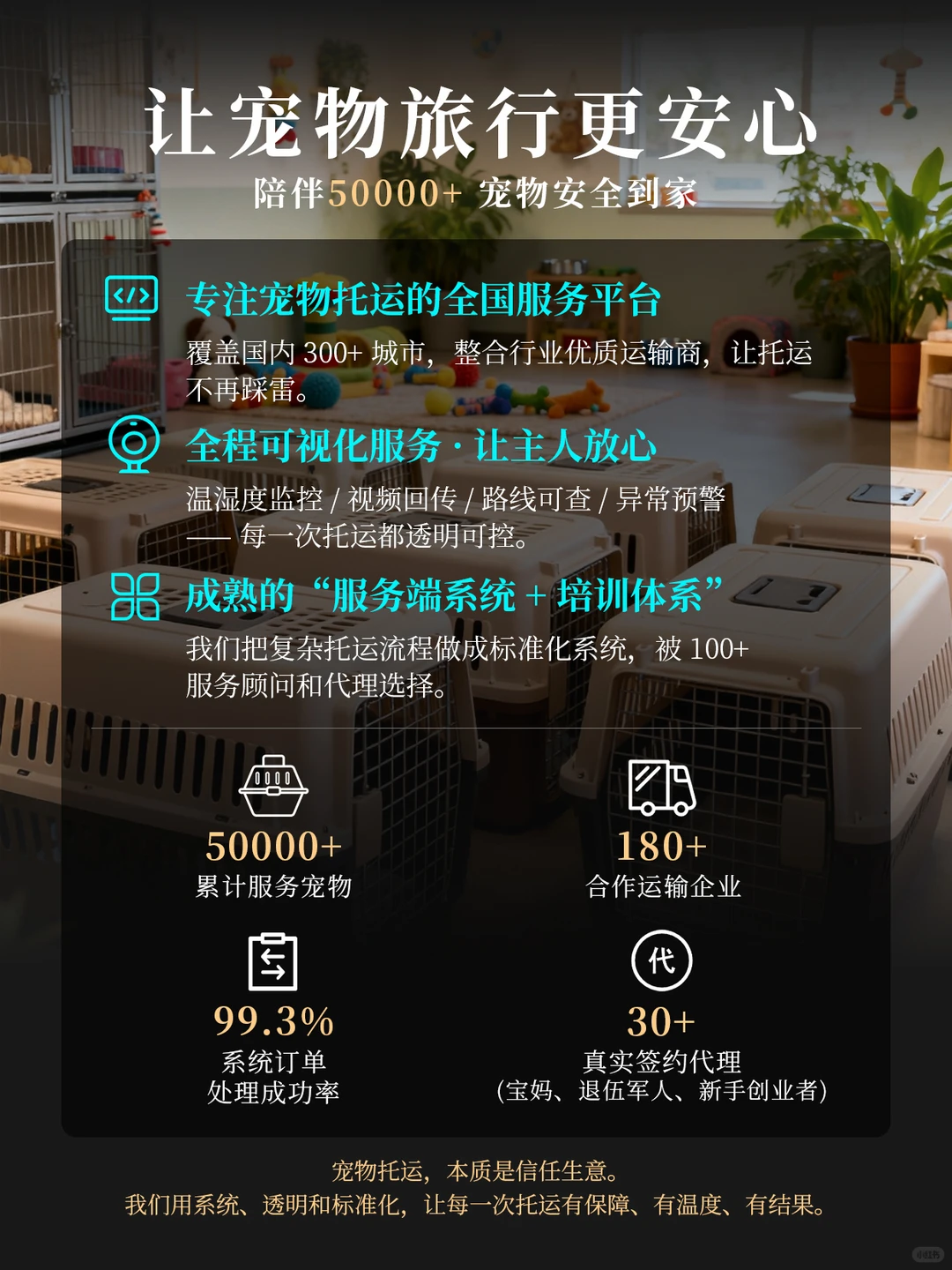 90后宝妈创业选择宠物托运,从一人到几百人