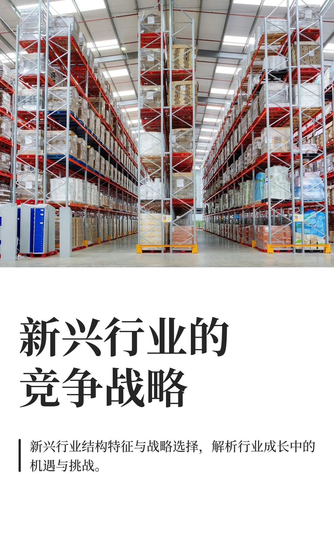 新兴行业的竞争战略