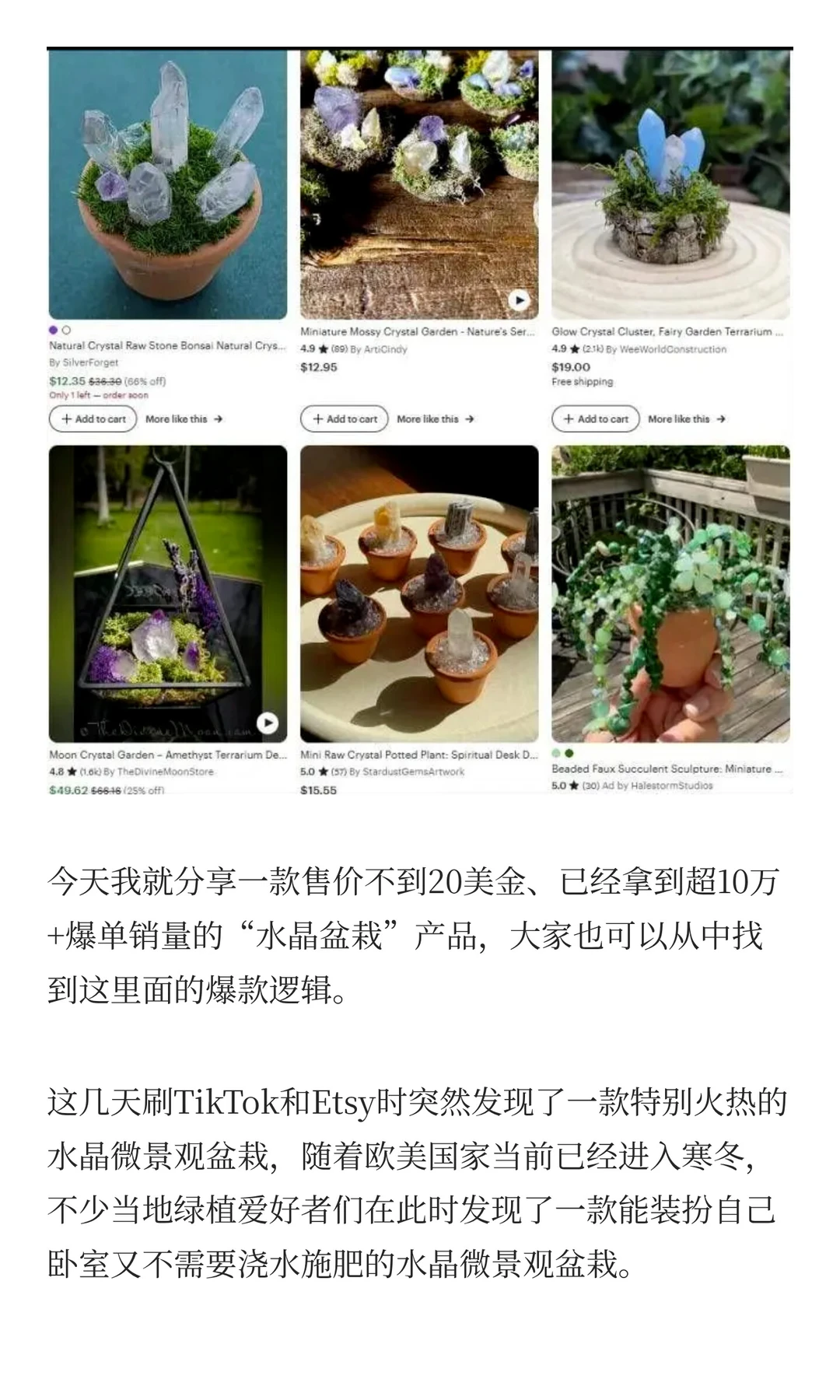 卖爆10万+单!Esty卖家靠水晶盆栽营收千万