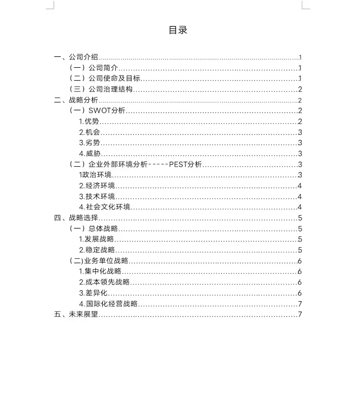 比亚迪公司战略与风险管理