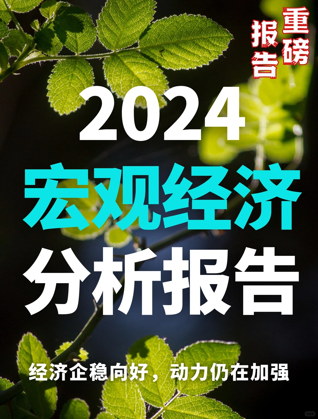 108页报告|2024宏观经济月度数据分析报告