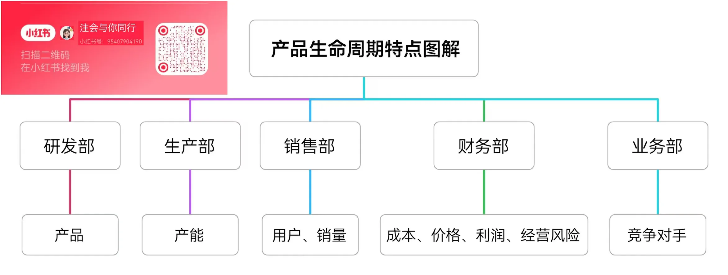 注会战略—产业环境分析—产品生命周期
