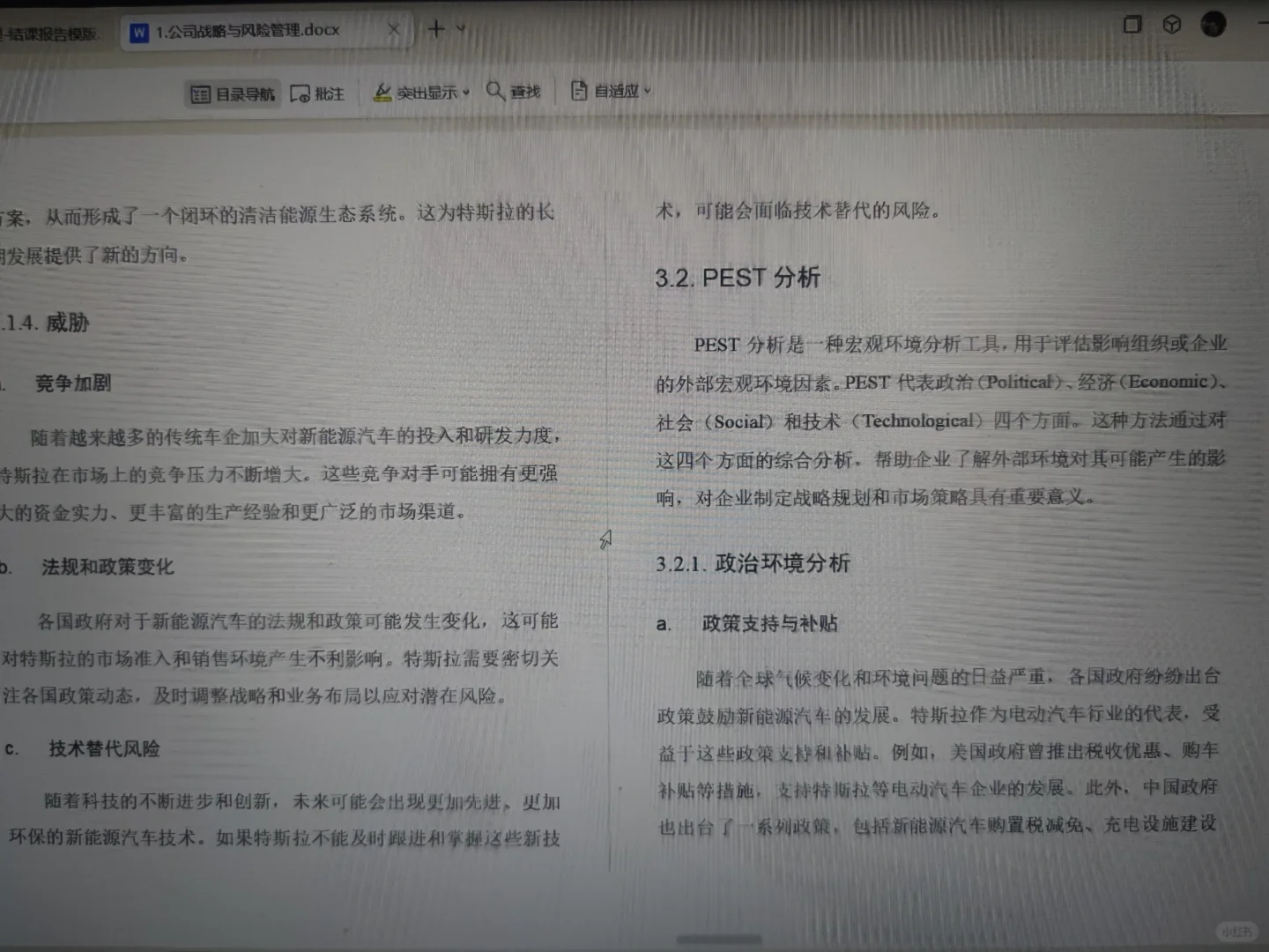 特斯拉公司战略与风险管理结课报告