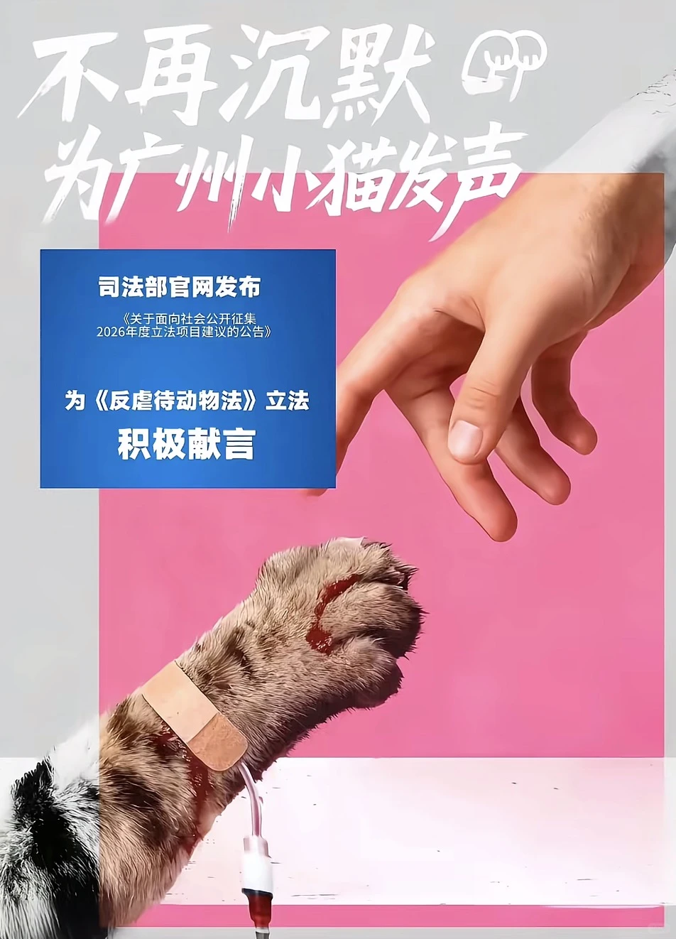 支持《反虐待动物法成立》