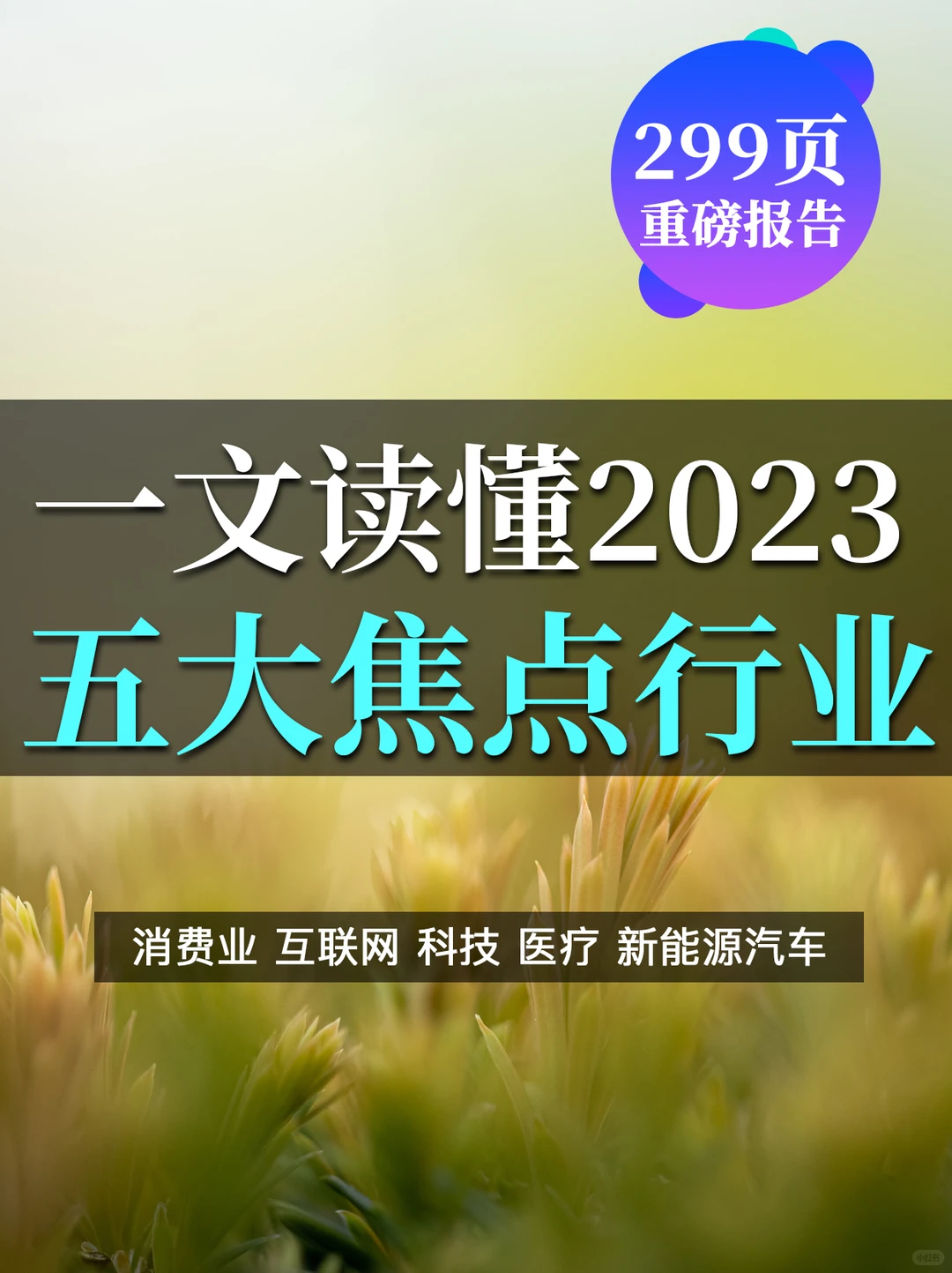 299页重磅报告:一文读懂2023五大焦点行业?