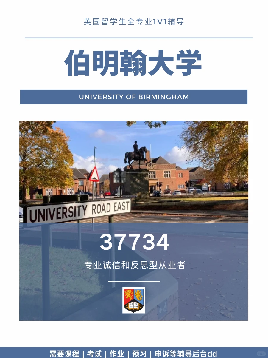 伯明翰大学37734小组作业、个人反思报告dd