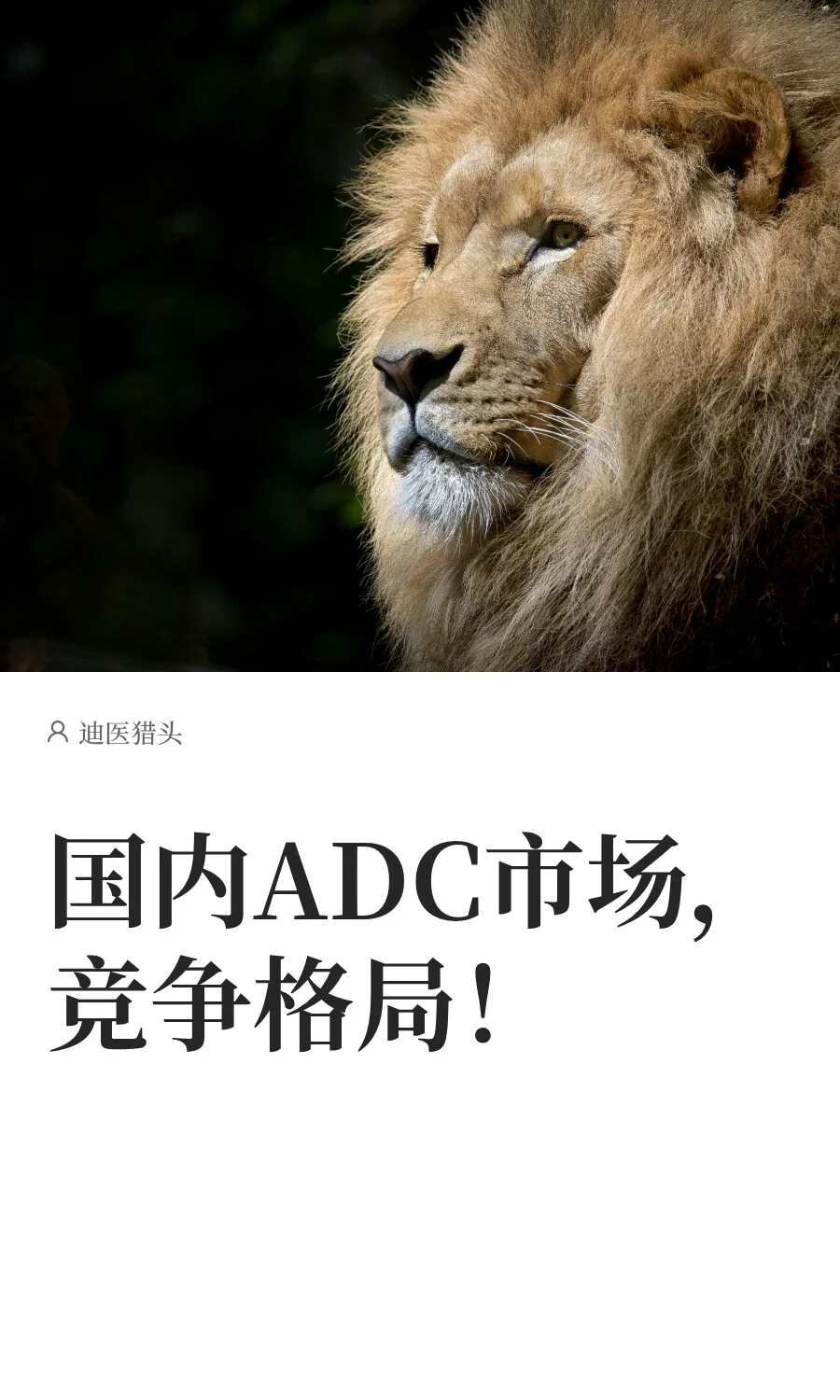 国内ADC市场，竞争格局！