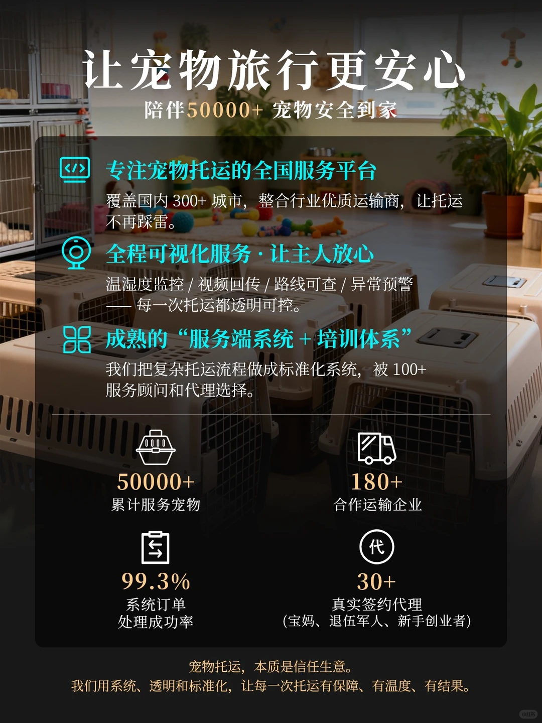 经济越不好,宠物行业反而越赚钱?隔壁小日子
