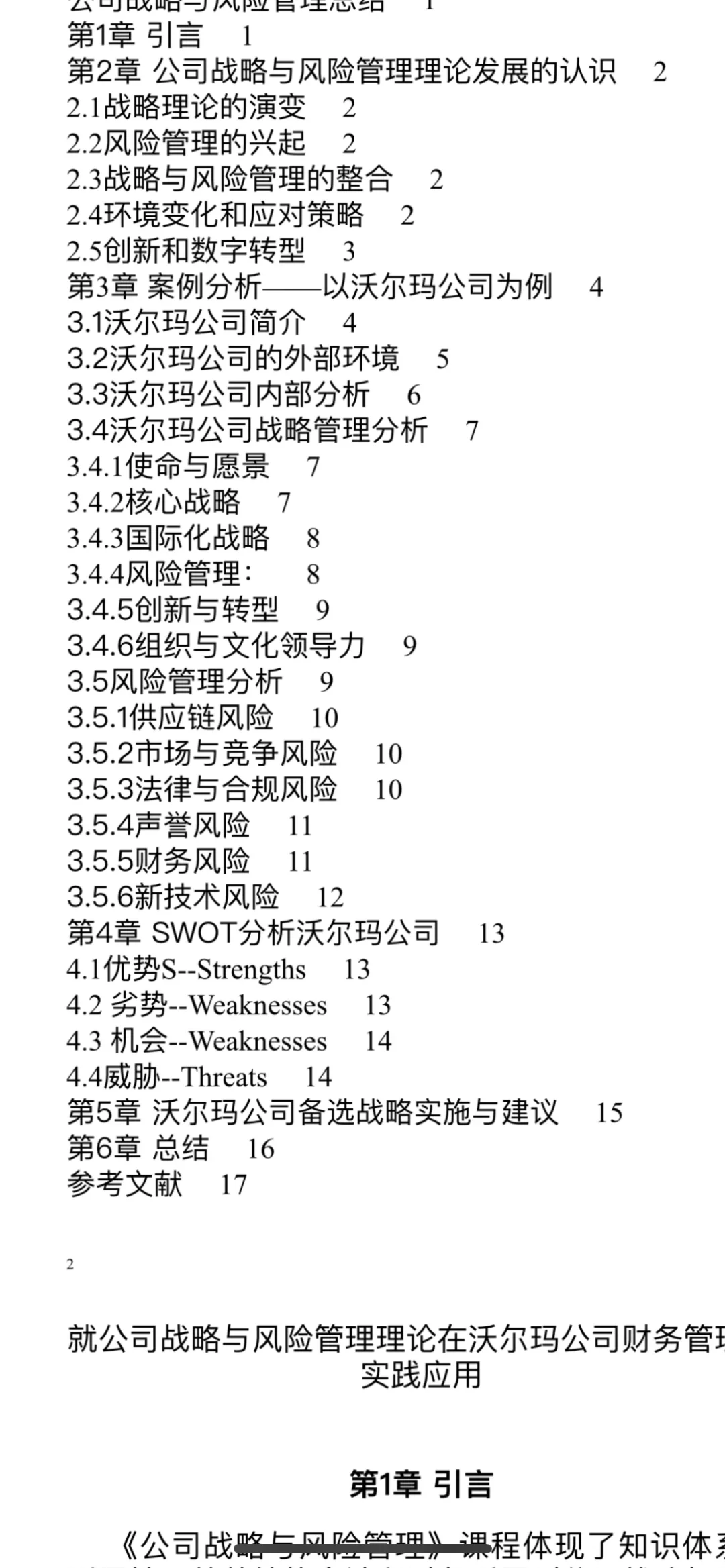 公司战略与风险管理