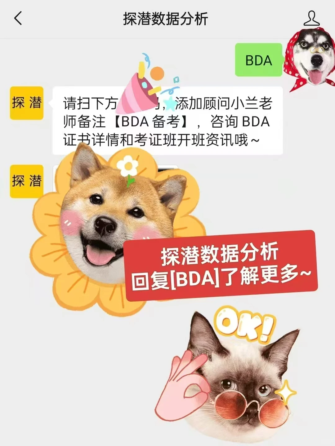 5大高薪行业数据分析亲测推荐