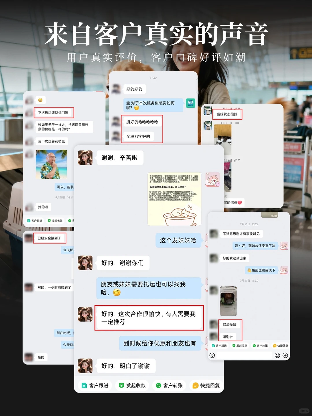 经济越不好,宠物行业反而越赚钱?隔壁小日子