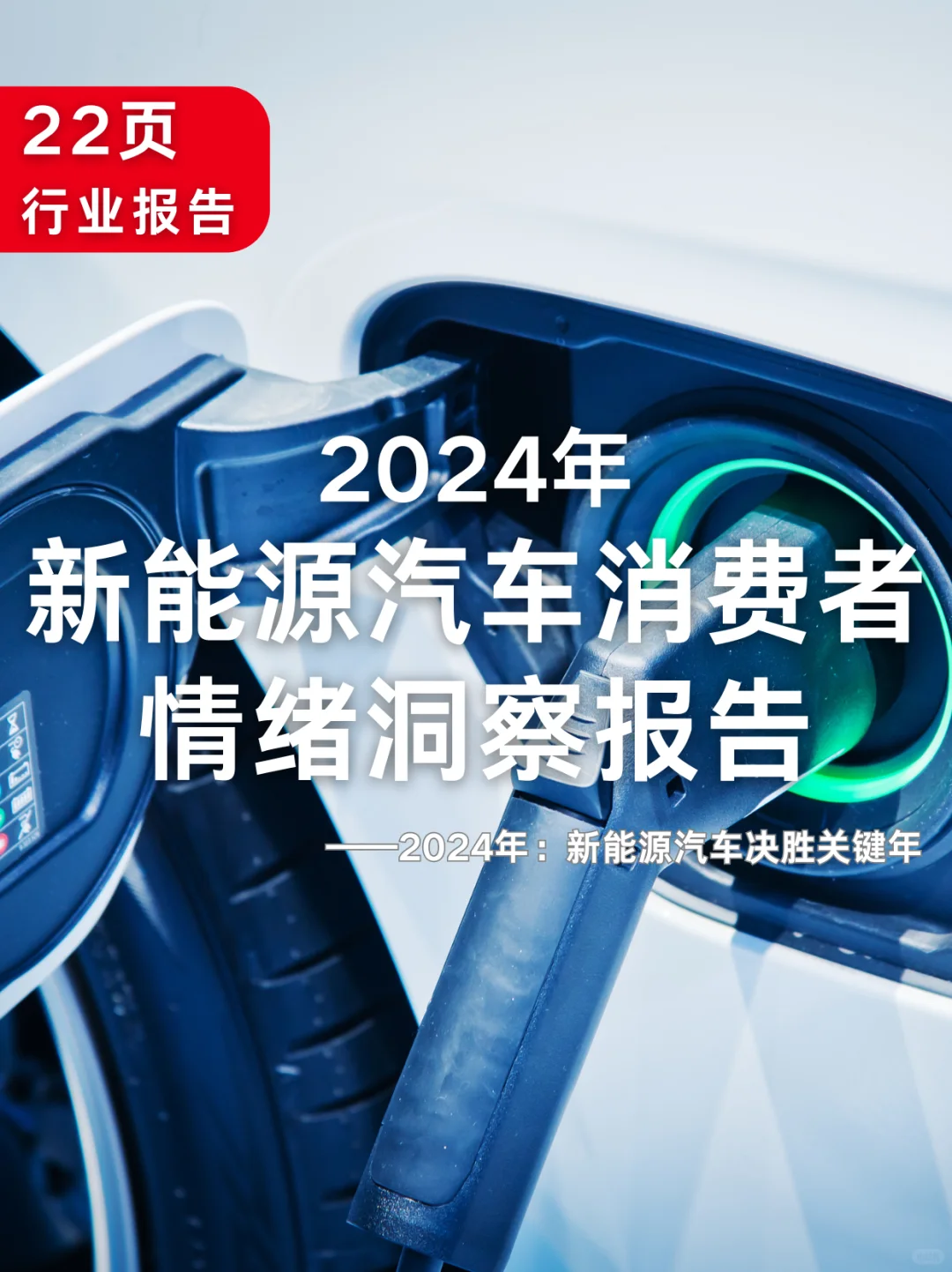 22页|2024年新能源汽车消费者情绪洞察报告