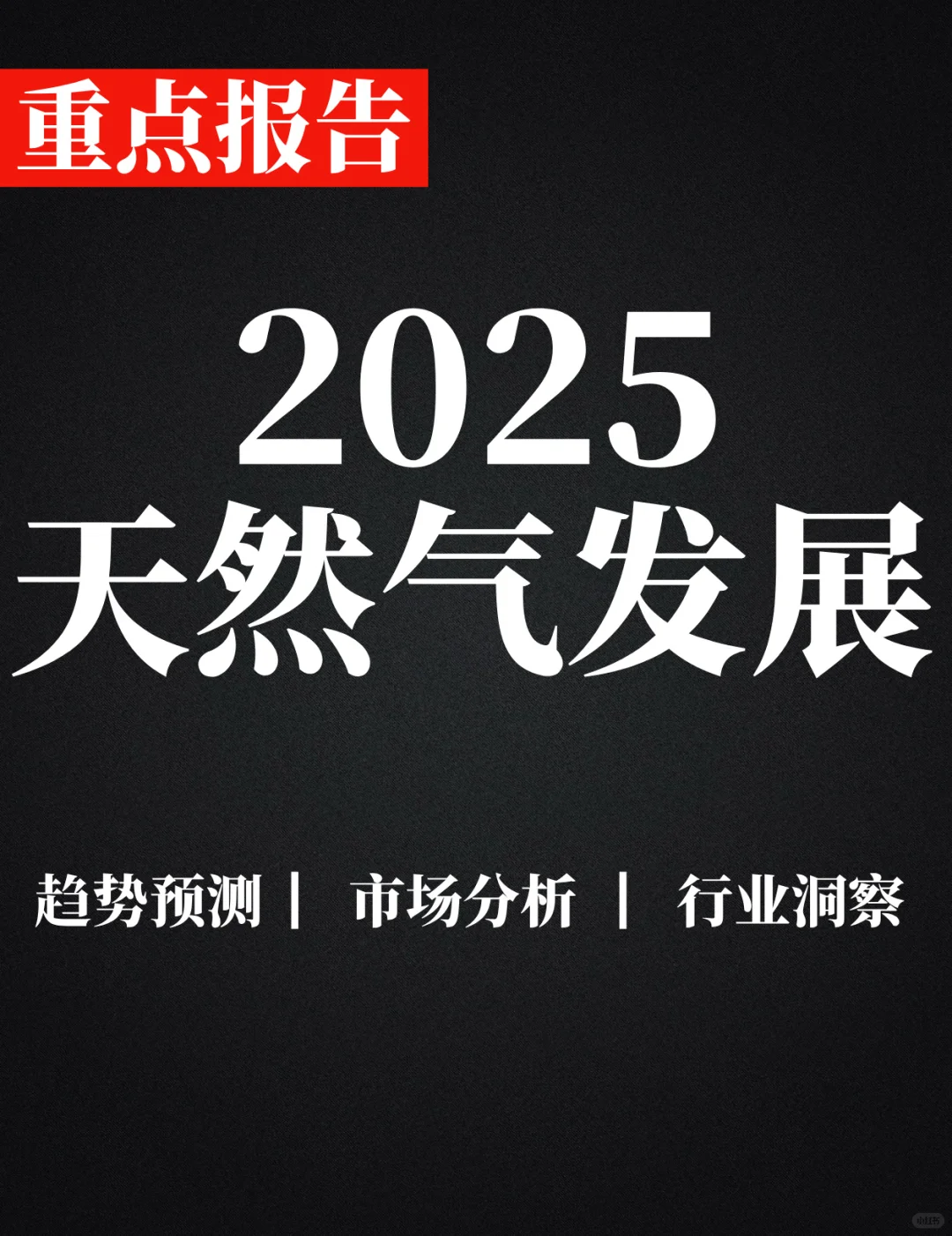 重点报告|中国天然气发展报告