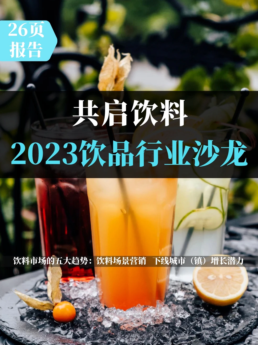 消费者指数2023饮品行业沙龙