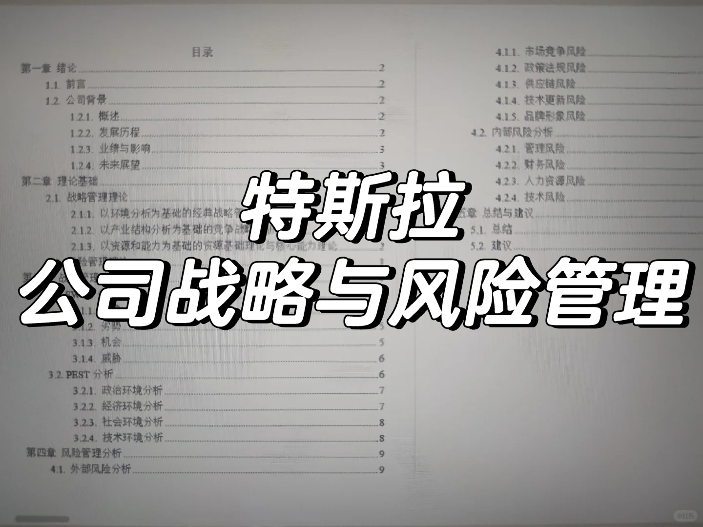 特斯拉公司战略与风险管理结课报告