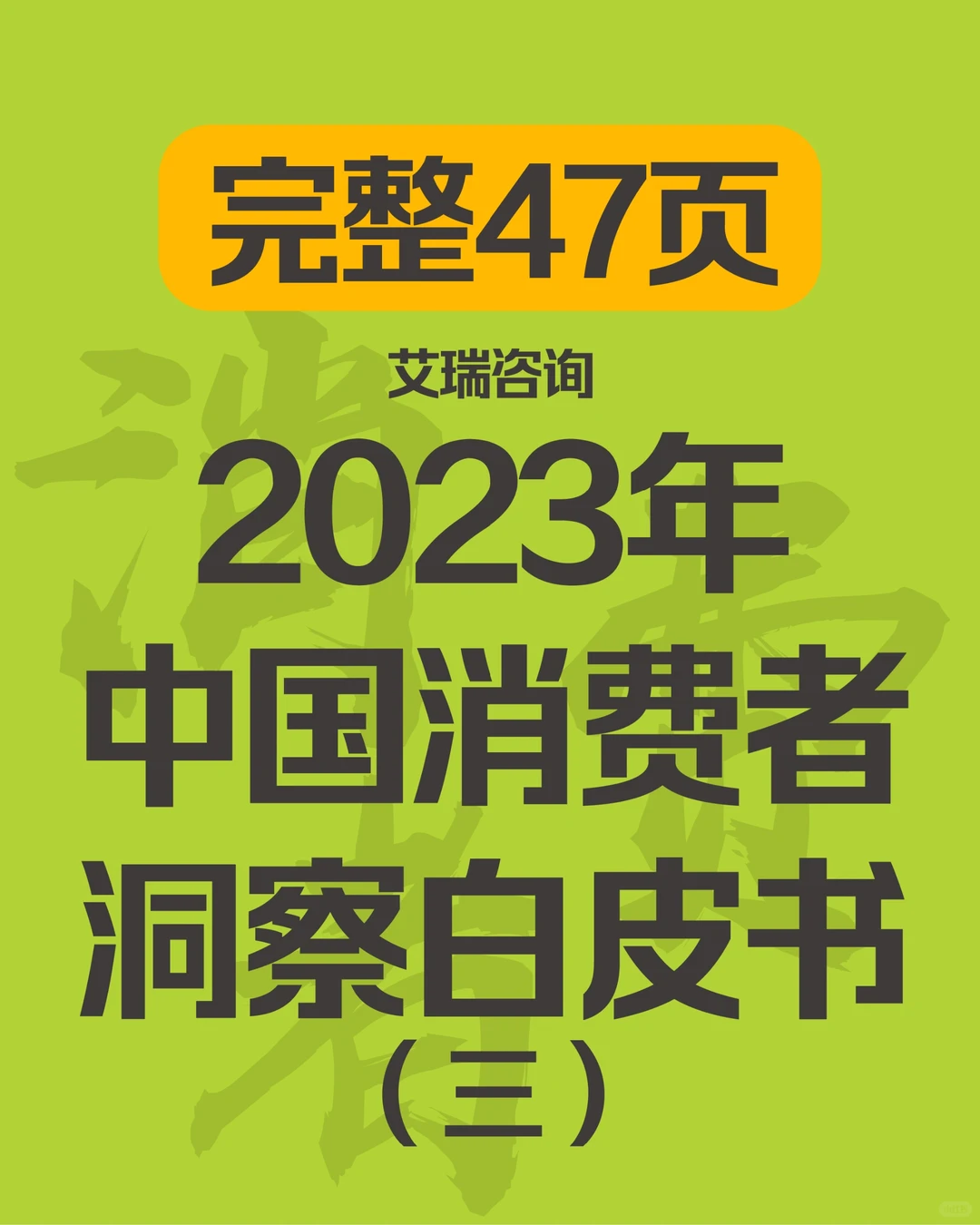 人手一份⏰完整版2023中国消费者洞察白皮书