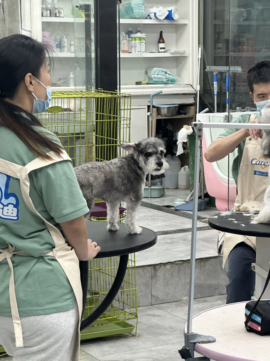 研究生,这两天生活过得疑似有点好了