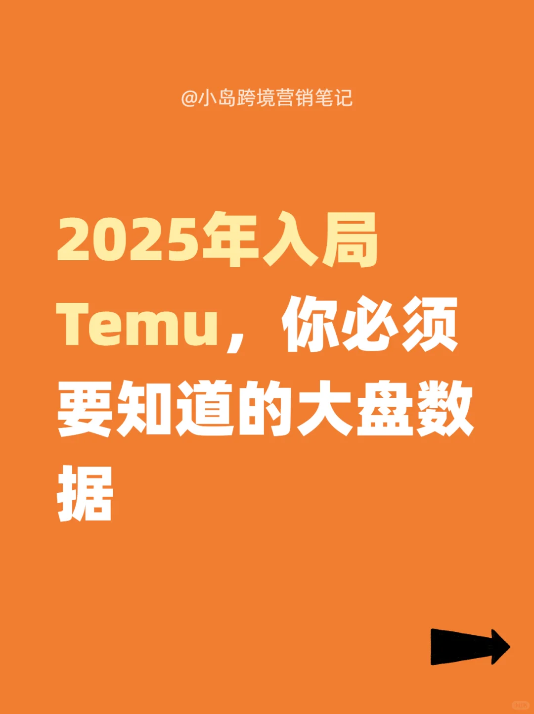 【建议收藏】2025年入局TEMU必看的大盘数据
