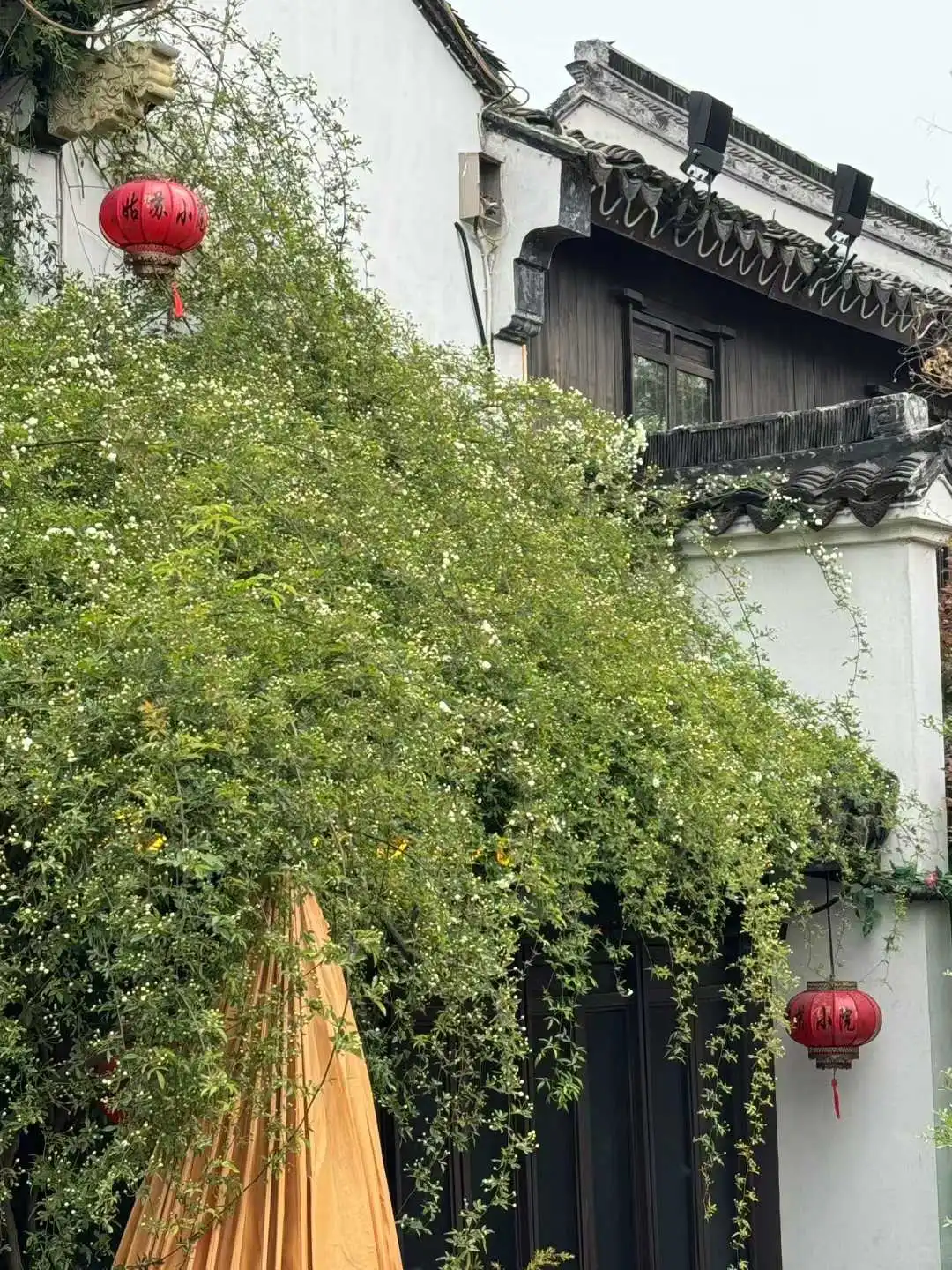 行业刚刚开始爆发的时候,怎么赚到钱?