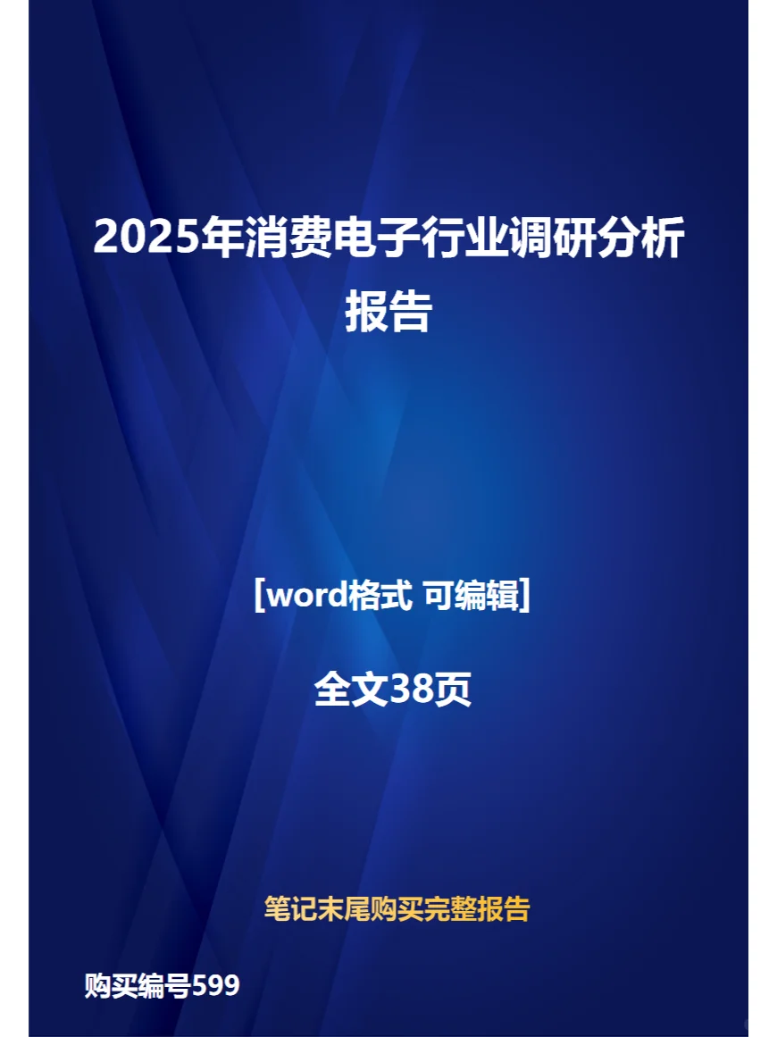2025年消费电子行业调研分析报告