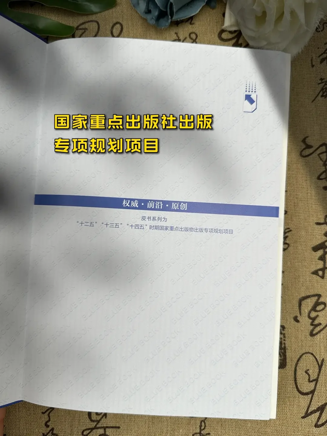 要成大事者都要研究的经济蓝皮书❗