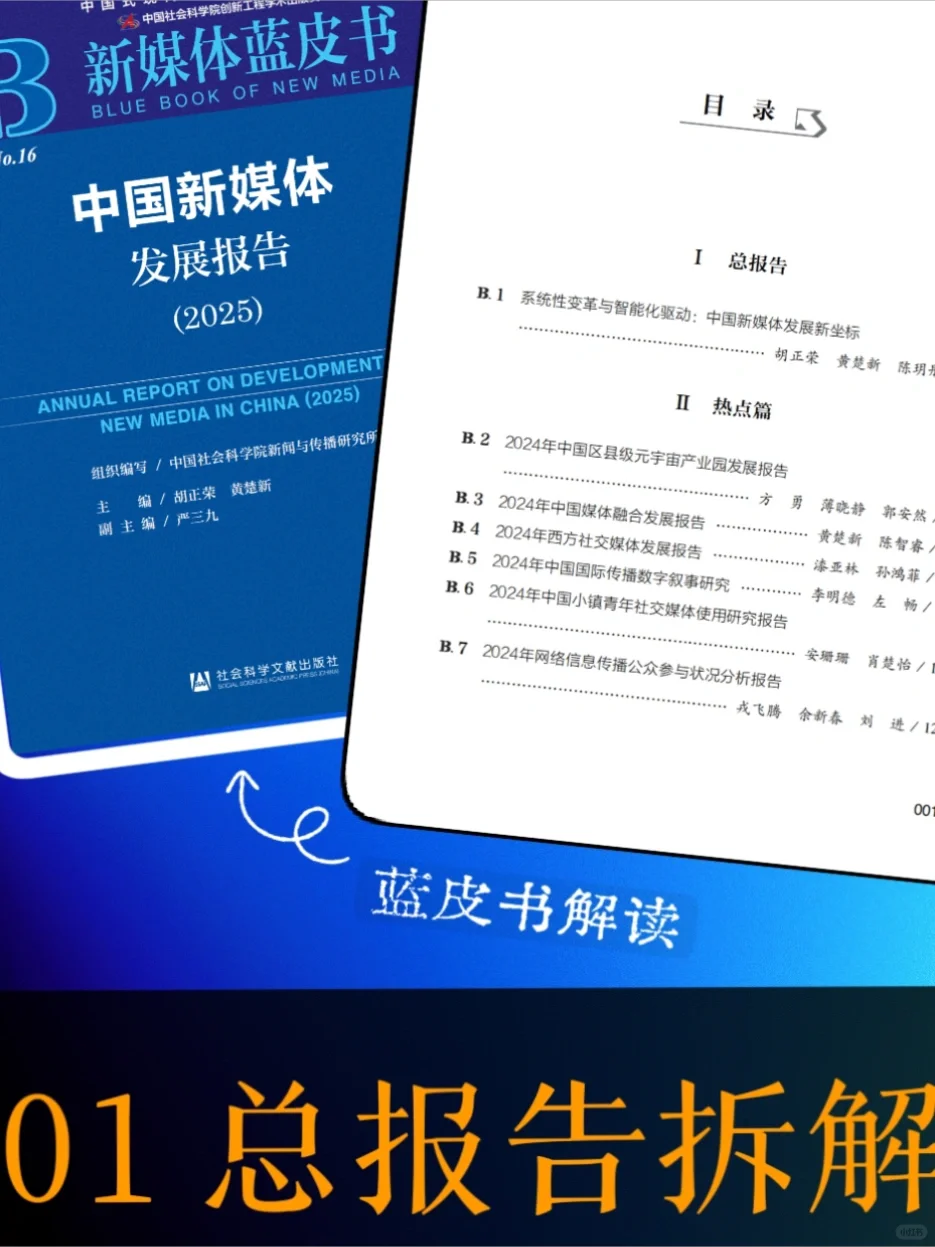 新传考研｜25蓝皮书总报告拆解?